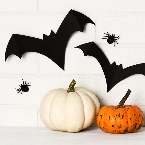 Halloween Collection