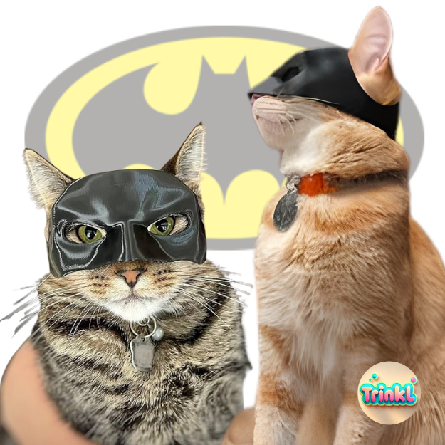 Batman cat mask