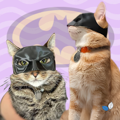 Batman cat mask