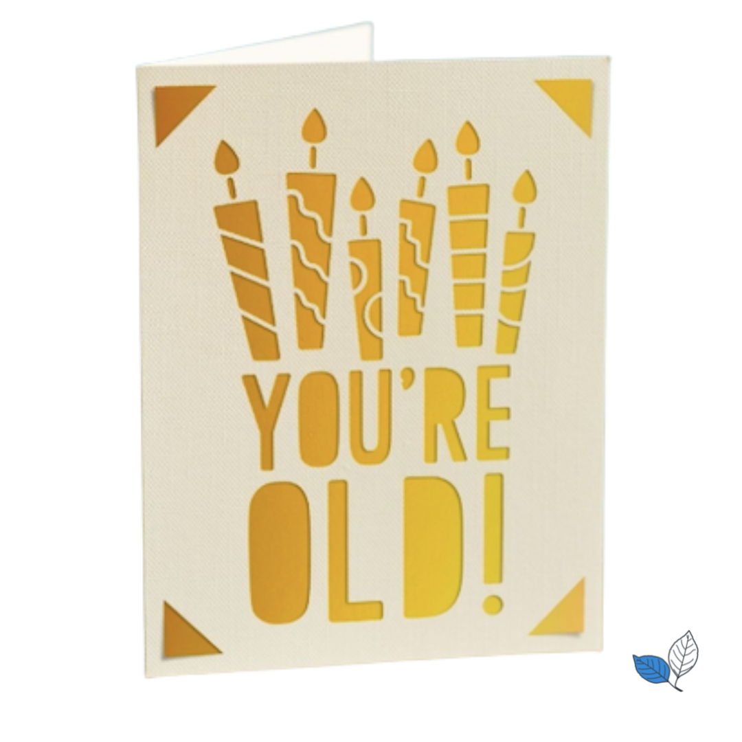 Birthday - You're old